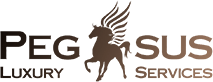 pegasus-onepage Логотип