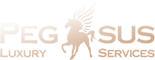 pegasus-onepage Логотип